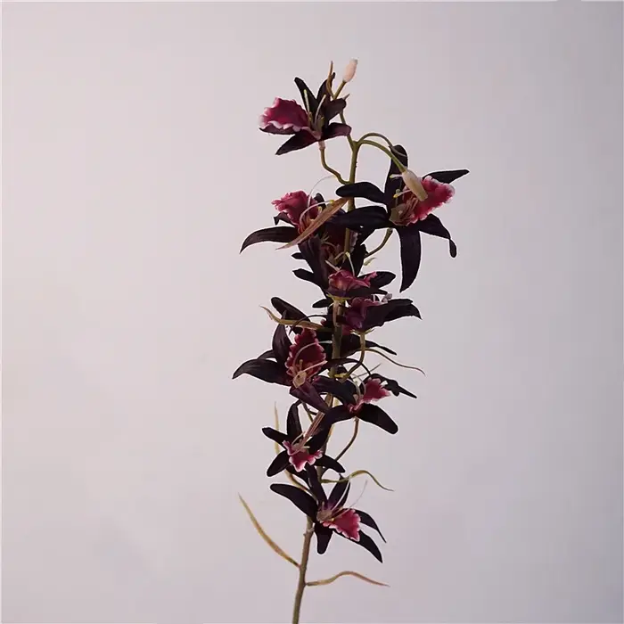 Branche de fleur d'orchidée Dendrobium de 81 cm