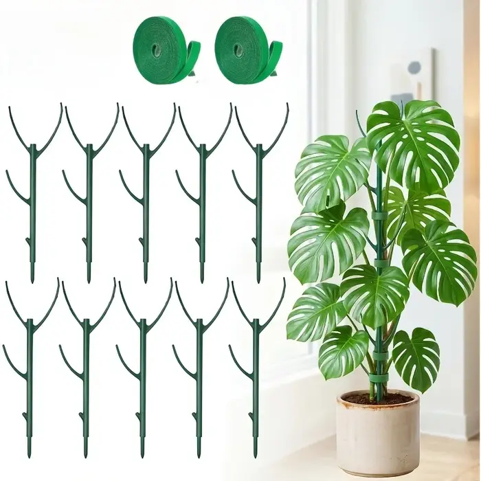 Comprend 10 poteaux en mousse de Monstera et 2 rouleaux