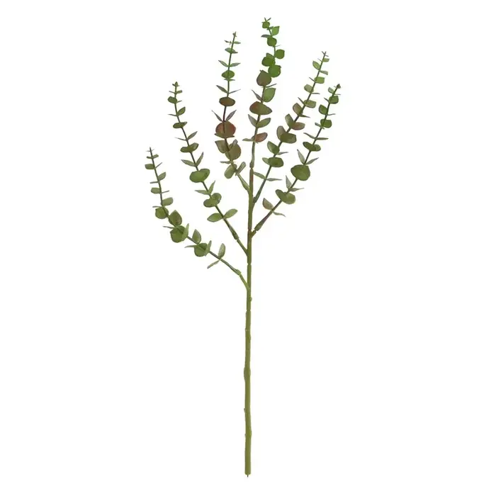 Aloès vert 10 pièces plante de Simulation en plastique Eucalyptus Milan herbe artificielle Eucalyptu