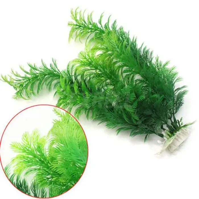 Plante de simulation d'aquarium