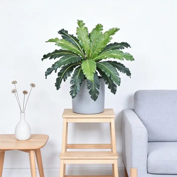 Plantes artificielles de fougère tropicales vertes de 45-50 cm