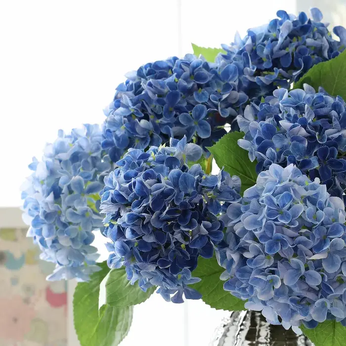 Beau bouquet d'hortensias pour la décoration de la maison