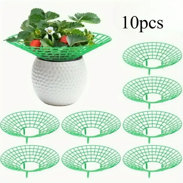 Supports pour plantes de fraises avec trois pieds robustes