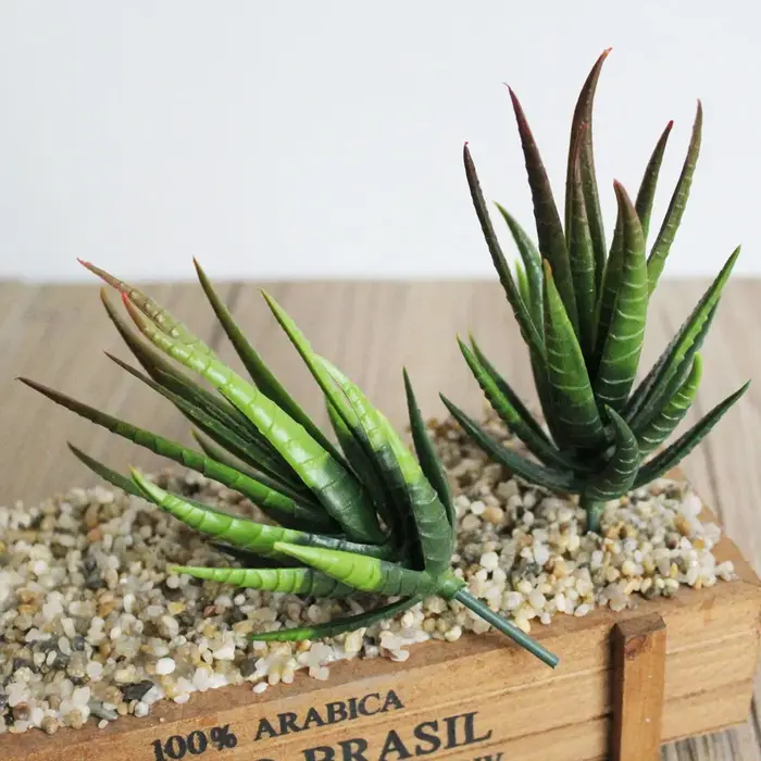 1 pièces simulé succulente faux zèbre Aloe Vera plante mur créatif bricolage accessoires fournitures fleurs artificielles décoration de la maison