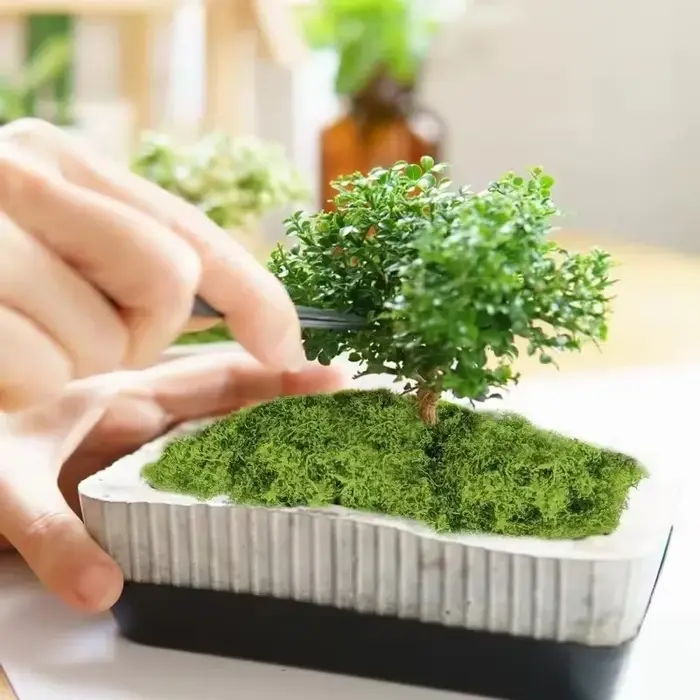 Plantes vertes artificielles