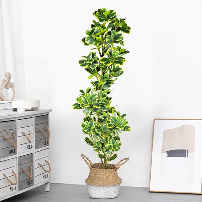 Arbre Ficus artificiel 76cm/115cm