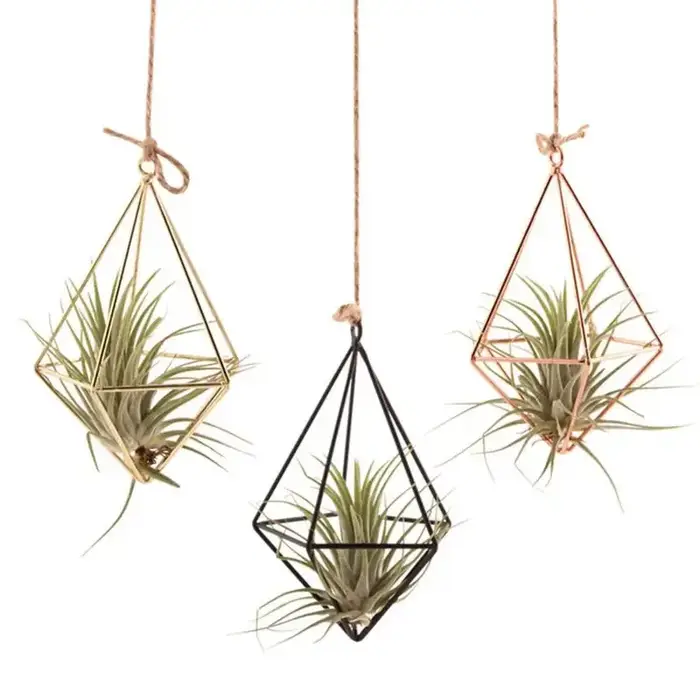 Cintre mural moderne en macramé pour fleurs