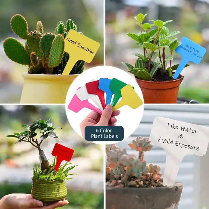 Étiquettes de plantes en plastique