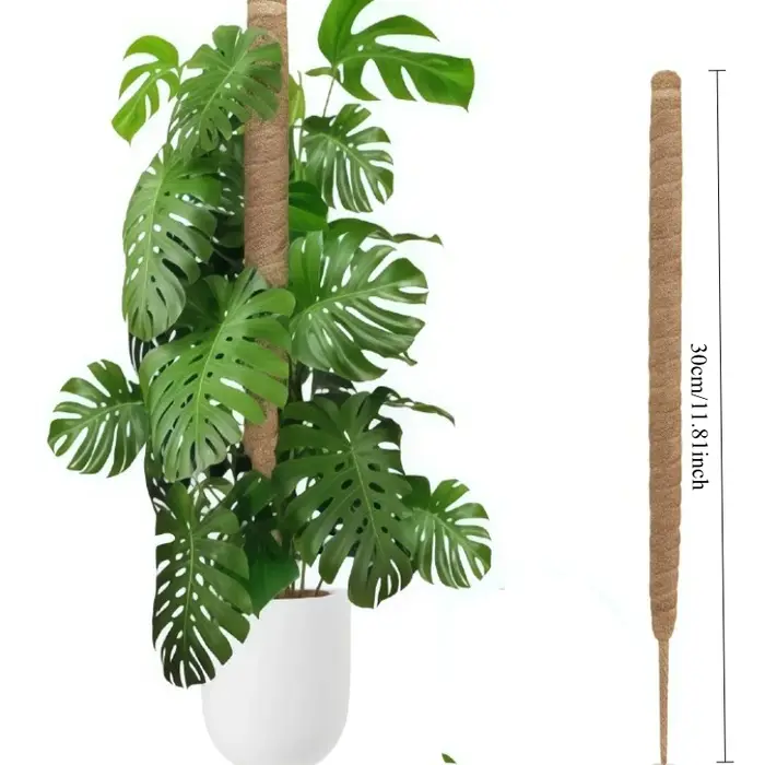 Support de plante grimpante en forme de bâton de palmier de coco