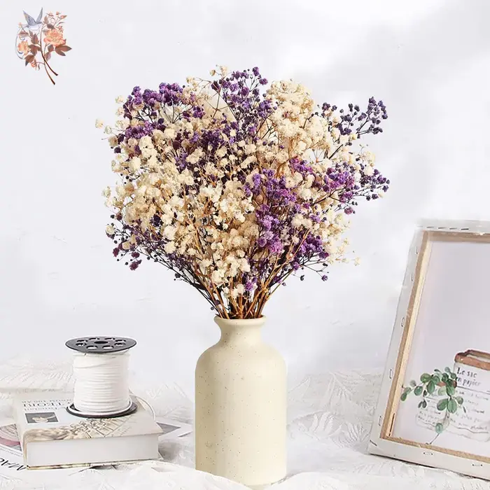 Bouquet de fleurs séchées naturelles Gypsophila (Souffle de bébé) 120g