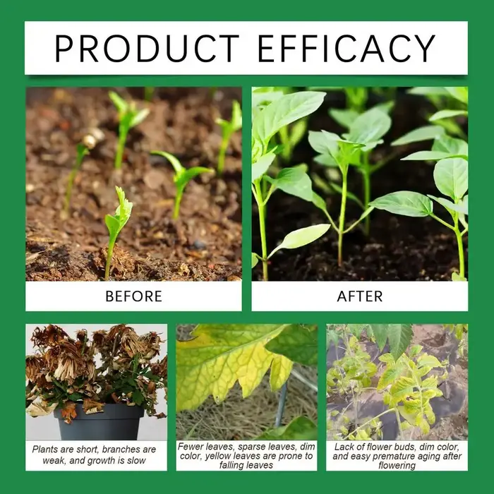 Poudre d'enracinement pour plantes