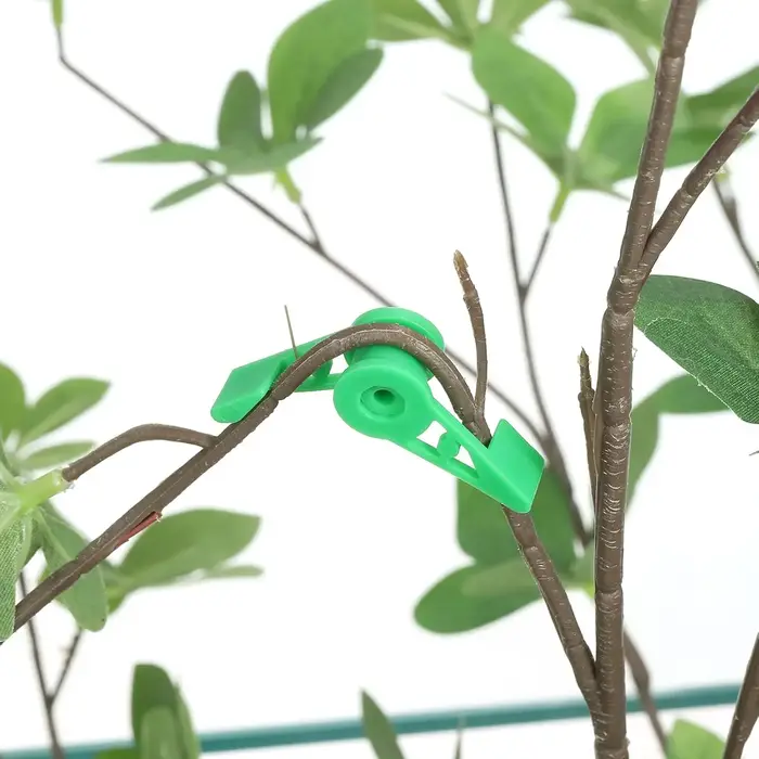 Clips d'entraînement pour cintreuse de Branches de plantes