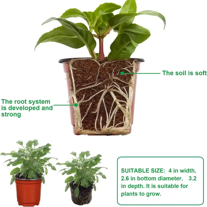 Pots de plantes en plastique avec étiquettes