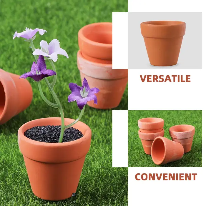 12 pots de plantes en terre cuite