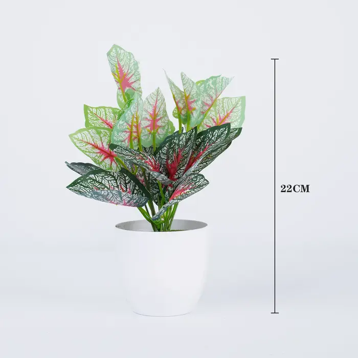 Plantes vertes artificielles bonsaï