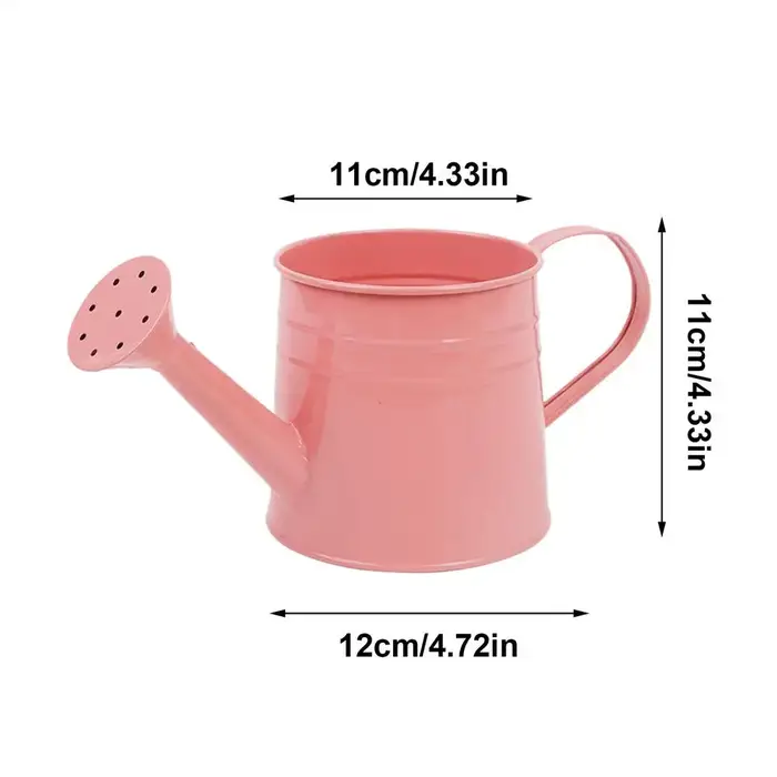 Petit arrosoir pour plantes d'intérieur