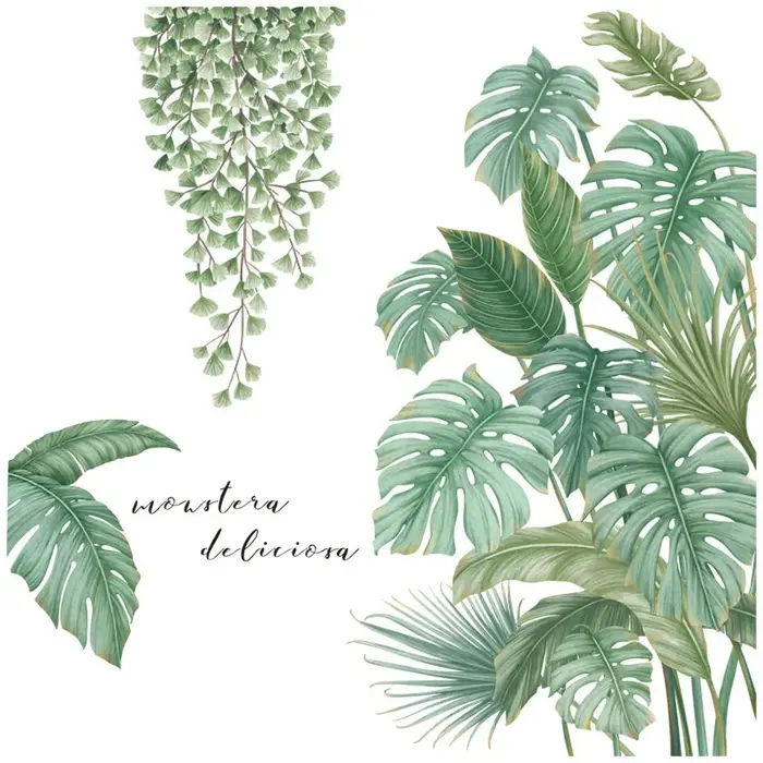 Autocollant mural plantes feuilles de Monstera tropicales