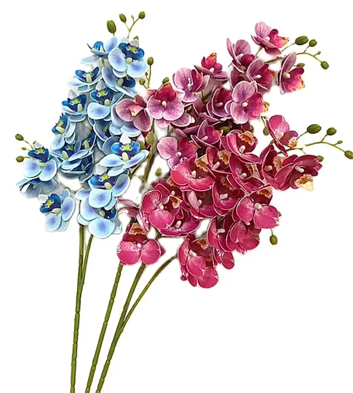 Fleurs d'orchidées papillon en Latex