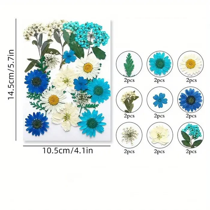 14 styles de fleurs séchées DIY, élégantes et magnifiques, fleurs artificielles de mignonnonneux, décoration créative simple de fleurs pressées