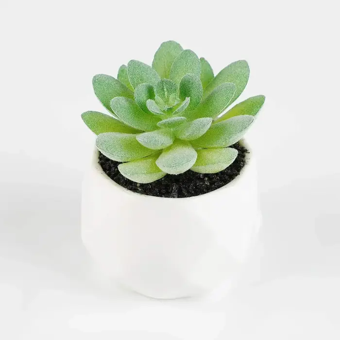 Succulentes artificielles 7 pièces fausse plante succulente réaliste artificielle