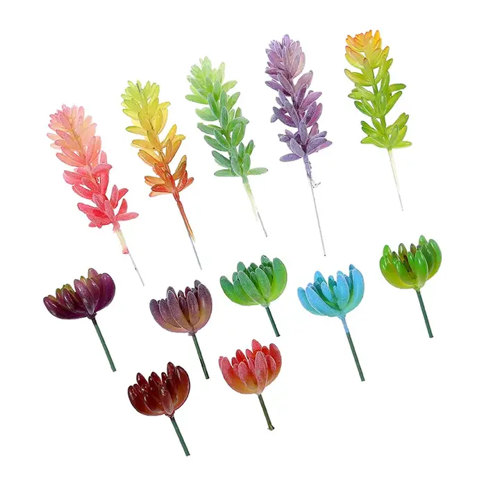 Plantes succulentes artificielles floquées