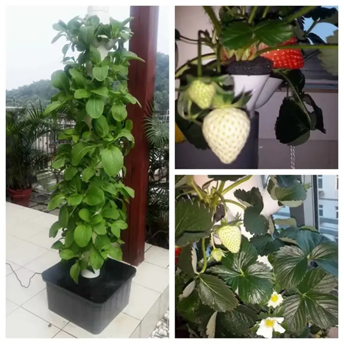 Jardinière verticale à haut rendement