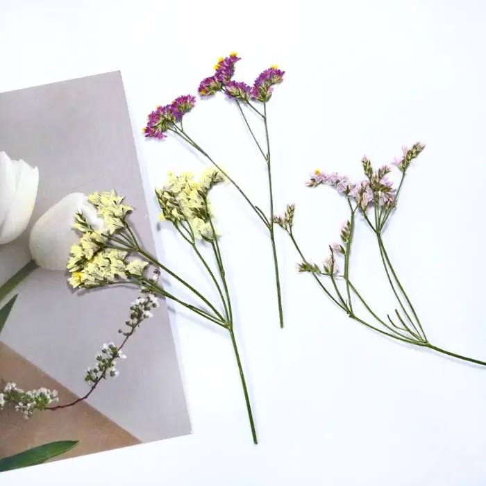 6 pièces, fleurs séchées pressées en herbe de cristal véritable
