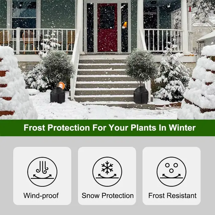 Couverture de plantes d'hiver