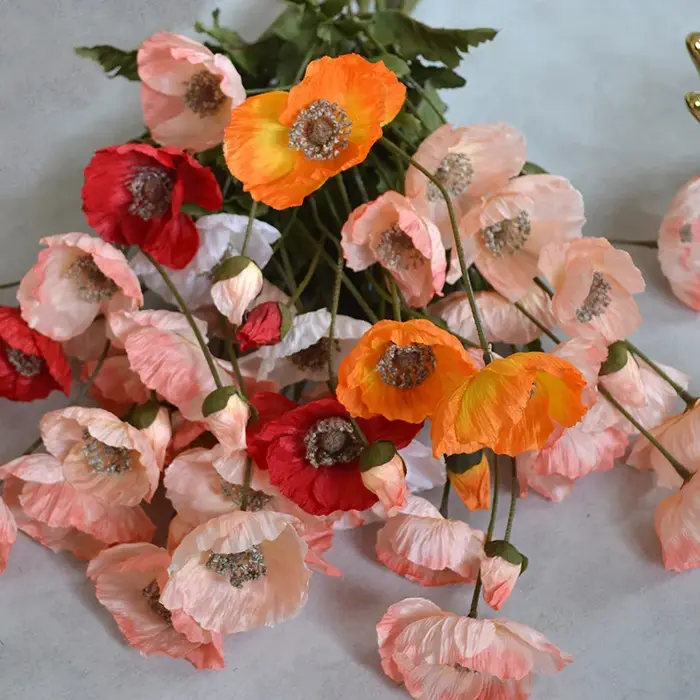 59M américain automne Vintage coquelicot fleur Tour Clap mains tenir fleurs photographie maison mariage salon