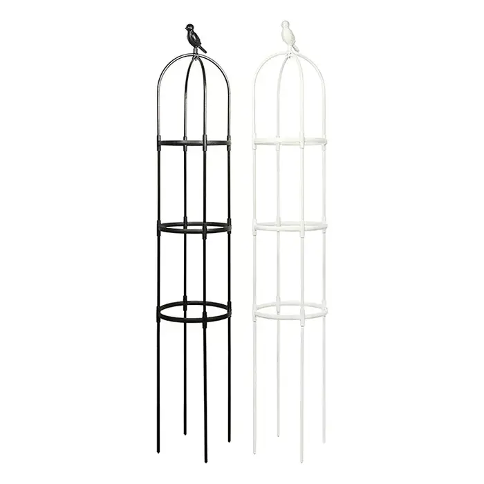 1 ensemble plante grimpante treillis jardin fleur