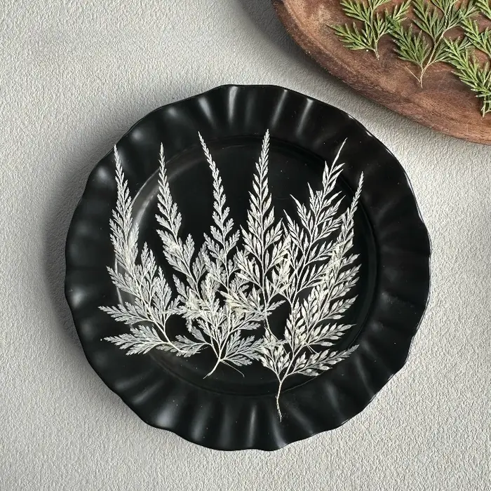 12 pièces, Véritables feuilles de Sphenomeris Chinensis séchées et pressées