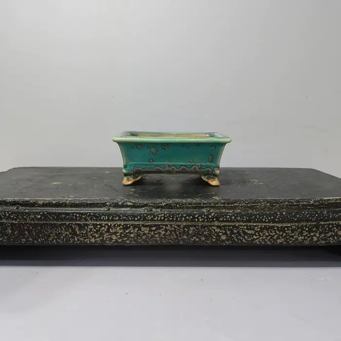 Mini bonsaï émaillé de haute qualité avec forme rectangulaire