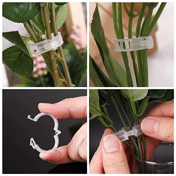 Supports de Clips pour plantes