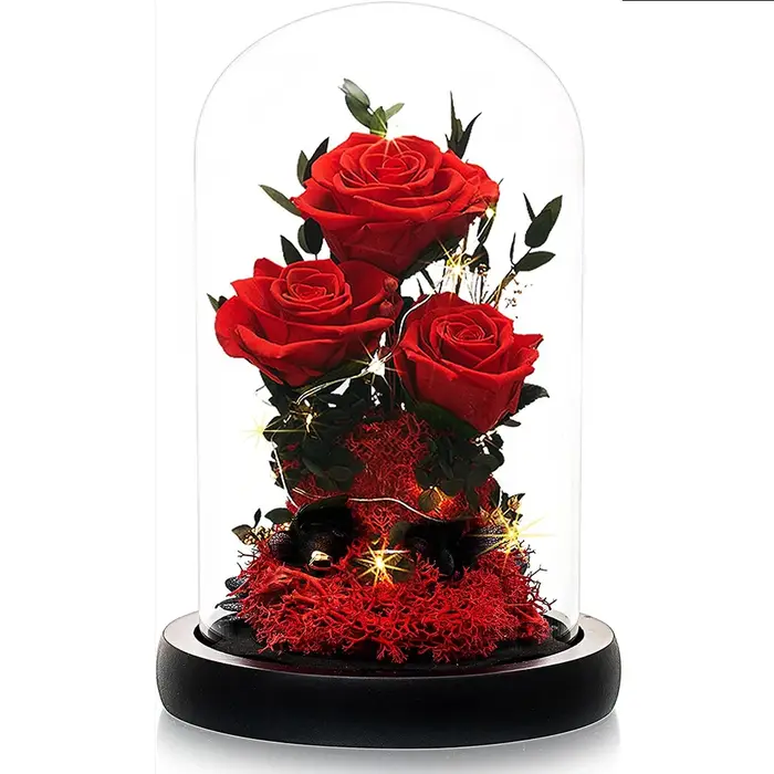 Fleurs de rose La Belle et la Bête pour la fête des mères
