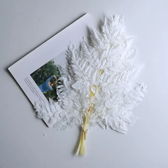 Feuille de fougère alpine, fleur préservée, grande branche, fleur, bricolage, fleur immortelle, spéc