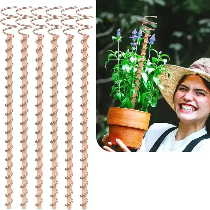 Piquets de plantes d'électro-culture bonsaï en cuivre, fil de bobine en bois, nouvelle bobine de cui