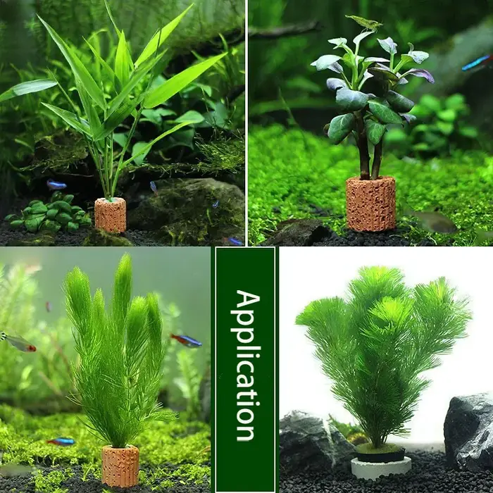 Bassin de Plantation de Base avec Anneau en Céramique pour Plantes d'Eau Précieuse