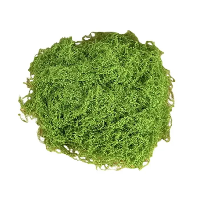 Décoration en mousse verte artificielle, 30/100g, pour bricolage, artisanat, décorations de plantes 