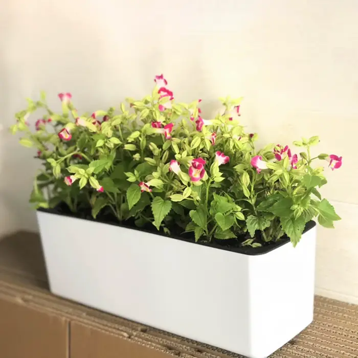 Pot de fleur à arrosage automatique avec indicateur de niveau d'eau