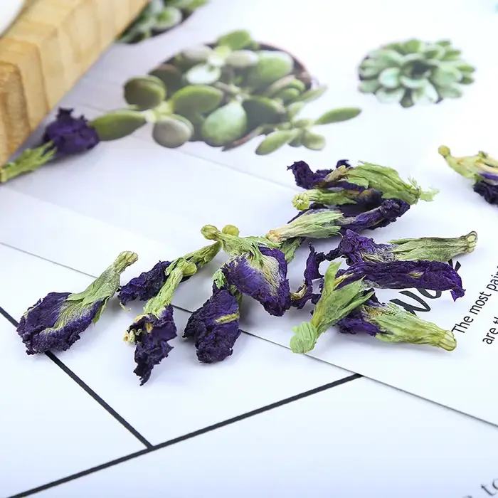 Fleurs artificielles séchées de pois papillon, fleur d'orchidée papillon de qualité supérieure pour vase de table de mariage et décoration intérieure 