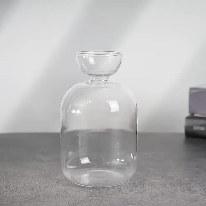 Vase hydroponique transparent en verre pour semis d'avocat