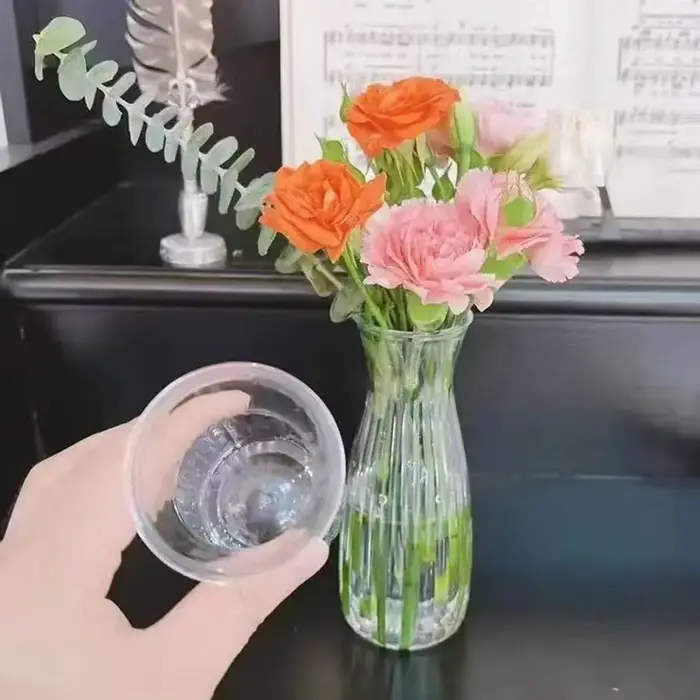Vase à fleurs hydroponique en plastique Transparent