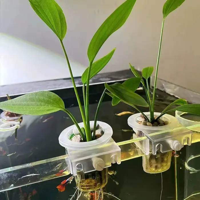 Panier de plantation d'aquarium