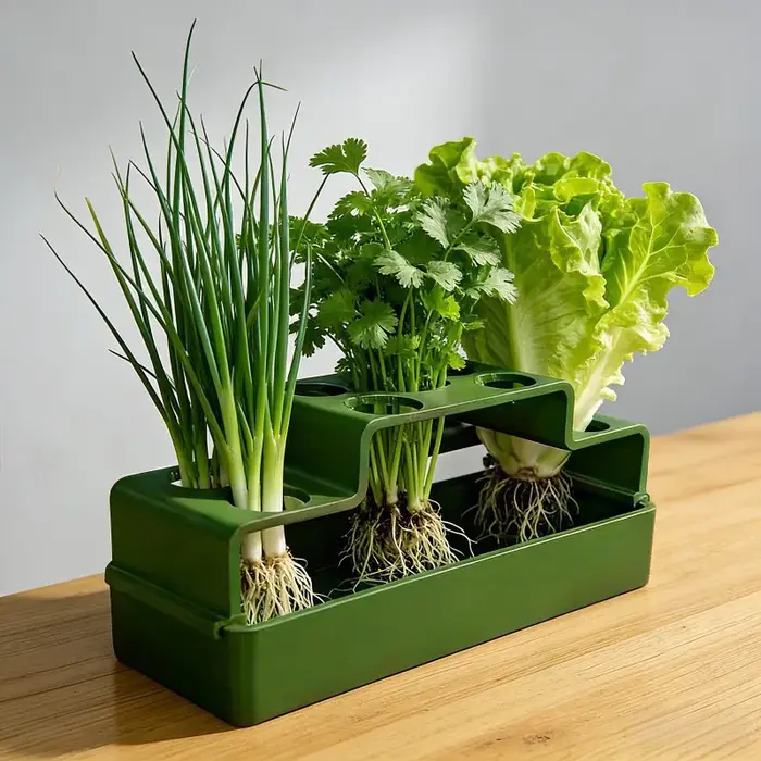 Boîte de culture hydroponique pour la repousse de plantes