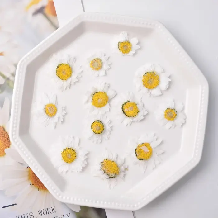 24 pièces, fleur séchée naturelle en relief, matériel de flore, décoration Photo d'art du visage, ma