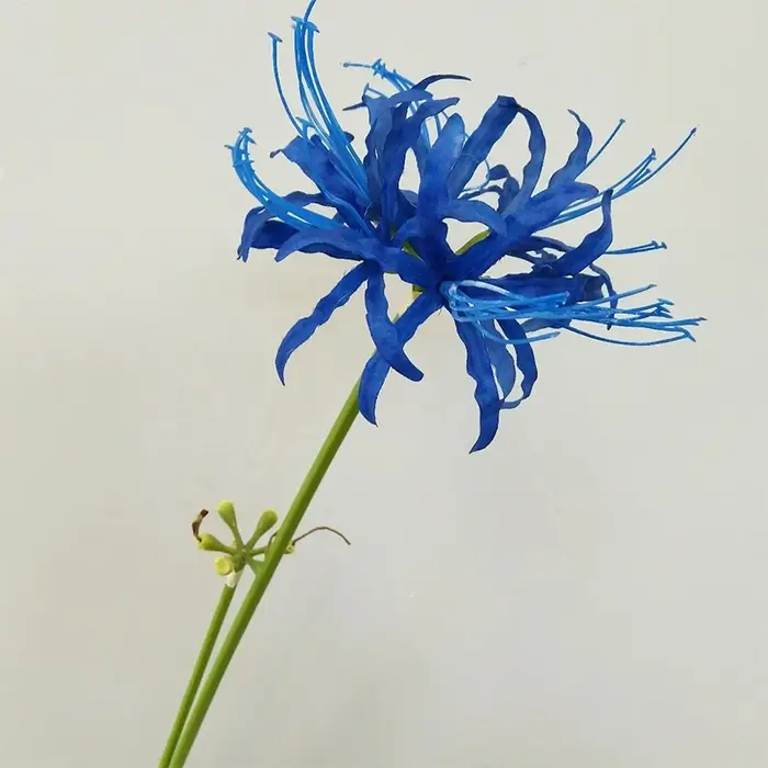 Fleur artificielle séchée pour la décoration de la maison, autre bouquet de fleurs de rivage, plante