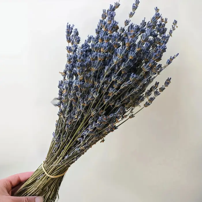 Mèches de fleurs de lavande séchées naturelles