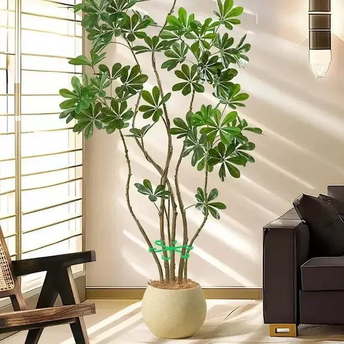 Kit de 4 supports anti-éclatement pour plantes