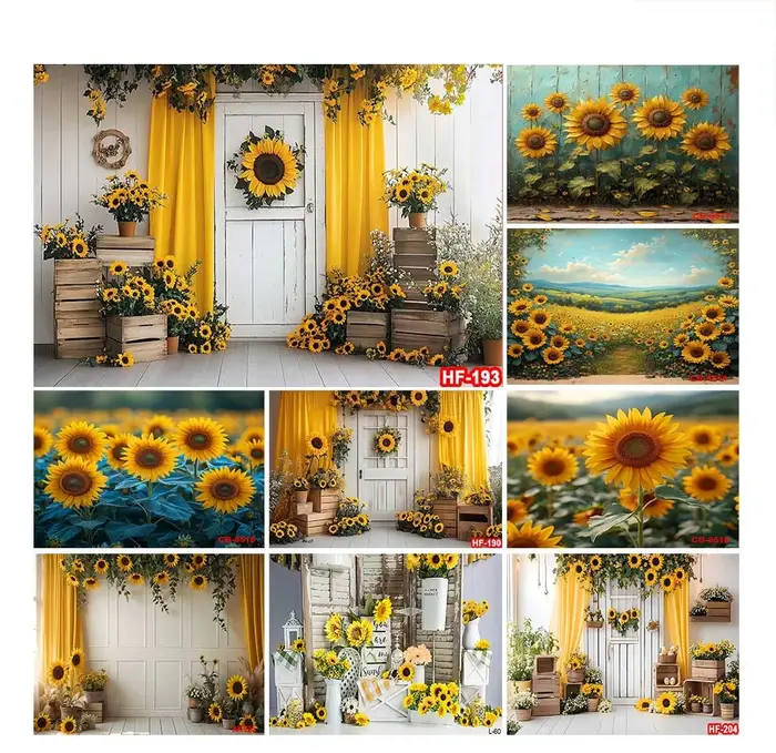 Décors de tournesols jaunes pour la photographie