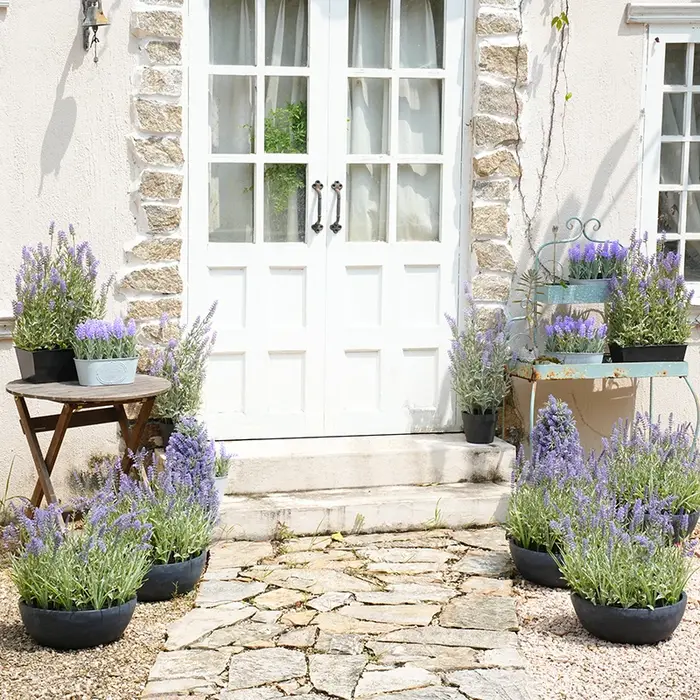 Plantes en pot de µartificielle